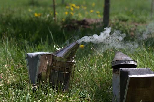 The fuel in the smoker's burner smoulders slowly because there is only a small amount of oxygen inside, until a squeeze of the bellows provides a blast of fresh air, forcing the smoke through the spout.