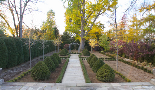 This is the formal Summer House garden. A lot of work has already gone into this area and my future plans for it keep evolving. This photo was taken in early November, before the tall ginkgo biloba dropped all its fan-shaped leaves.