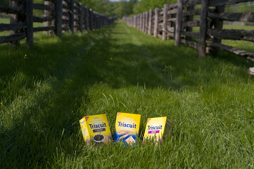 What amazing things you can do with Triscuit crackers? Enter the Triscuit Summer Snackoff and show me your creations. You could win a trip to New York City to meet with me! Enter today! https://mondelez.promo.eprize.com/triscuit/