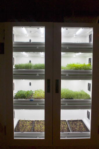 Restaurants love these Cultivators because they save a good deal of money by growing their own sprouts and micro-greens, which they use as ingredients and garnish.