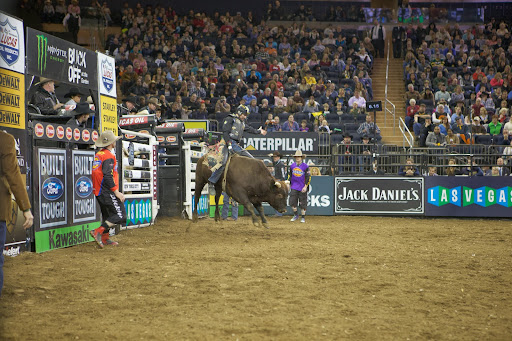 Interestingly, in 1995, 310,000 fans attended PBR events across the nation. Today the PBR attracts over 1.5 million live event attendees each year. PBR reports that most shows across the country are sold out.