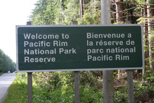 We later went on a hike through Cathedral Grove, a rare and ancient Douglas Fir ecosystem.