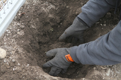 This soil is loaded with organic material, but if yours is not, add some compost and mix well with the soil. Next, form a conical mound at the bottom of the hole.