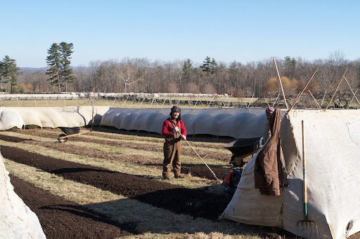 The beds were covered with a thick layer of rich compost after the fertilizer had been sprinkled on. Chhiring was waiting for a new load of compost. The temperatures rose to below freezing after hovering close to 0ºF all week long. Notice Chhiring isn't wearing his warm jacket?