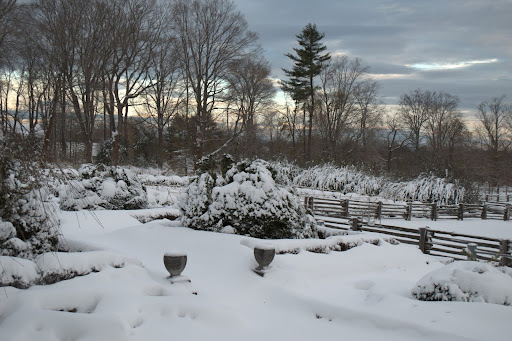 An early morning view from my terrace.