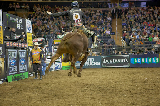 Bull riding was, and is, generally the most popular event at a rodeo, so making it its own sporting event made sense. The original 20 bull riders invested $1,000 each to start the PBR.