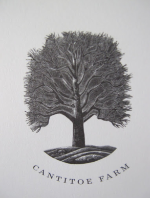 This is a woodblock print inked from the woodblock stamp that I had made of that very tree. It's so detailed and lovely.