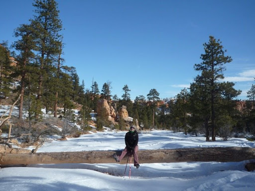 Molly Bloom - Sitting on a fallen tree in Bryce Canyon – This ain’t no cubicle!