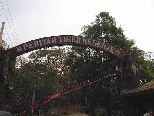 The main attraction for our trip was the Periyar Tiger Reserve, a short tuk-tuk ride from the Cardamom Club. It is a protected area covering more than 100 square miles of forests and grasslands and surrounding Periyar Lake.
