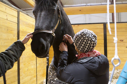 Rutger knows and trusts Betsy so he was quite calm as she stood by while Elizabeth administered a sedative to keep him relaxed during the extraction.