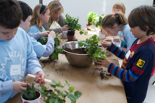 Once they received their plant, they returned to their tables and began the process of repotting their plants into their beautifully decorated ceramic pots.