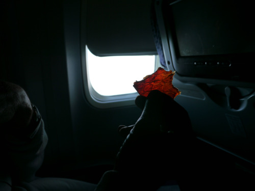 A strip of beef jerky as dad and I head back to the states
