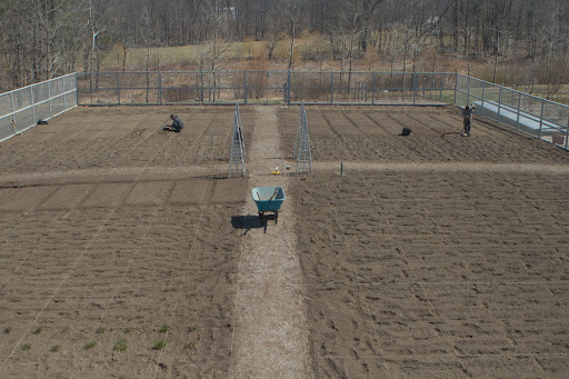 A view from above - This new flower bed measures 150-feet by 90-feet and already, it's planted with so many flowers!