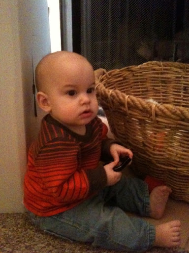 Baby Logan is 9 1/2 months old