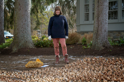 I was inspired by the great daffodil displays I visited in such famous gardens as the New York Botanical Garden and the Winterthur Garden, just northwest of Wilmington, Delaware.