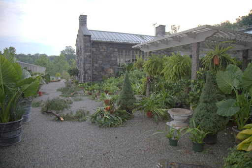 Potted plants were tossed around as branches flew through the air.