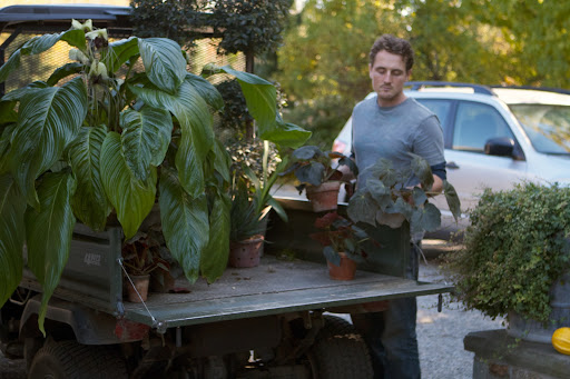 Ryan chooses a pleasing combination of potted begonias, succulents, ferns, orchids, and other plants with great foliage.