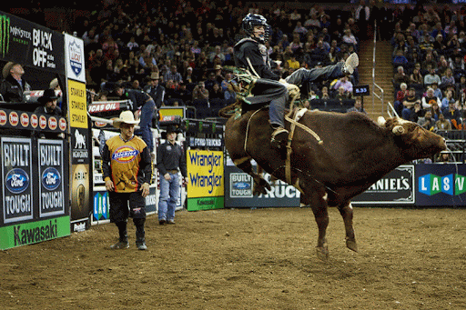 I was there to attend the Professional Bull Riders - PBR - 500th Built Ford Tough Series regular-season Buck Off event.