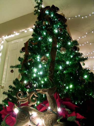 Adam Ponce from Chicago, IL threw a 'Martha Stewart Presents: The Burt-Ponce Holiday Party.' Pictured is his tree which stands over a small wooden deer.