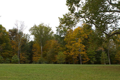 The edge of a hayfield