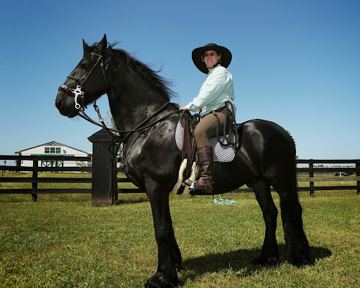 In 1978, Robert Entenmann purchased a potato farm and transformed it into a thoroughbred horse farm. Photo credit: Peter Marney