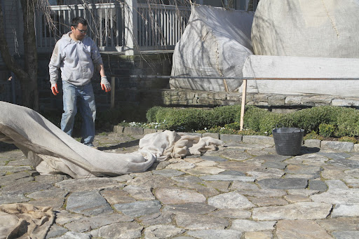 As it is removed, the burlap is folded neatly and well-marked with the location it was covering, so that hopefully, it can be used again next autumn.