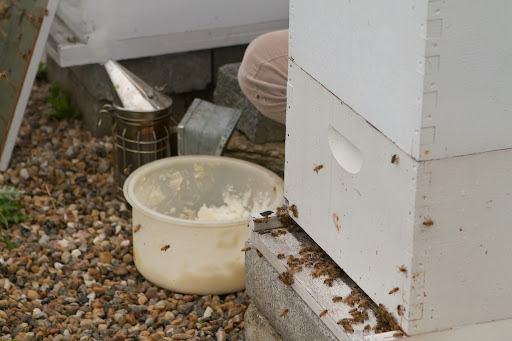 In addition to the hive top feeders, D.J. first wanted to add a special medication to help combat devastating tracheal mites, which have been wreaking havoc in beehives by affecting the bees' breathing tubes.