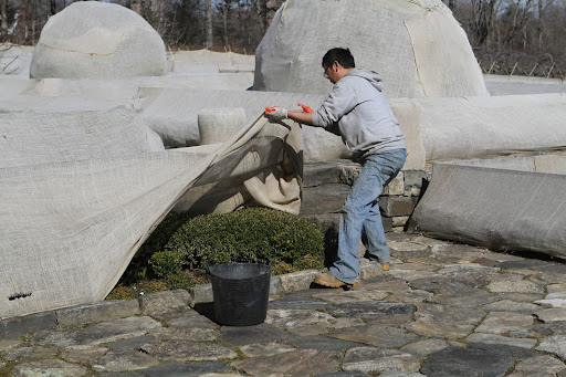Chhewang's task was to begin removing the burlap coverings. He was instructed to start with the terrace gardens.