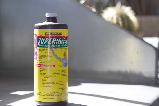When transplanting, it's important to feed the plant, easing the stress of relocation. SUPERthrive has been around for many years and it's a good source of vitamin B1, which is great for roses.