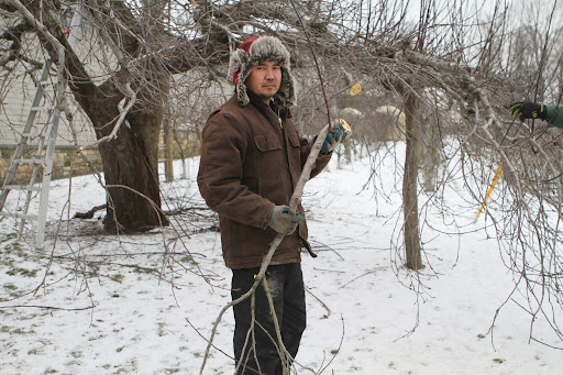 Chhewang shows potential in being a good pruner, so I asked him to have Danny show him the basics.