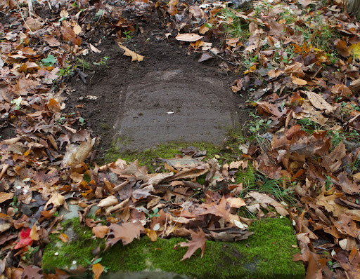 Eventually, FBBG hopes to have fallen stones, like this one, standing on their bases again.
