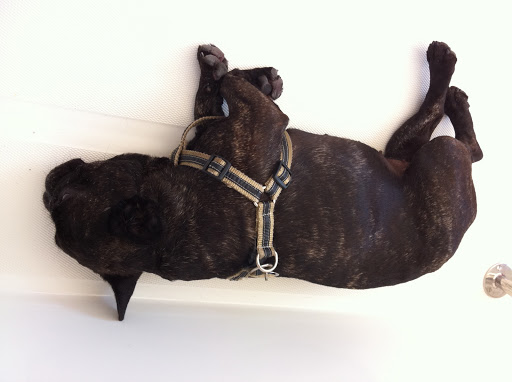 Some of us napped on the ride back.