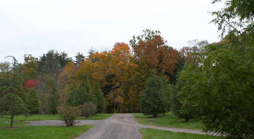 More colorful evidence of autumn