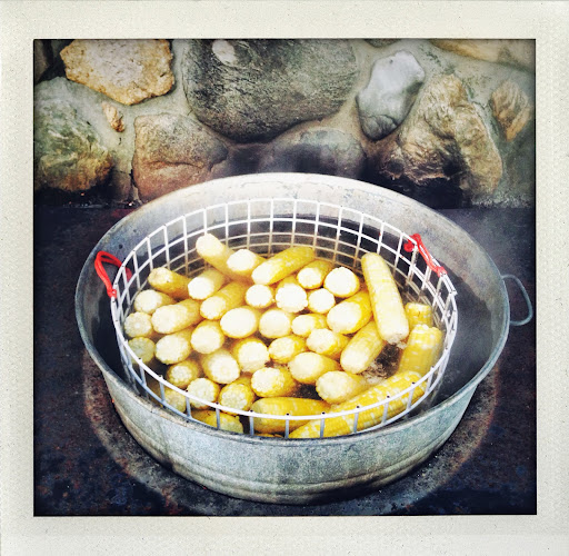 This is the basket in which we cook the farm-fresh corn in the big lobster cooker. This cooker is the same design as one will find everywhere in Maine, in which lobsters, etc., are cooked in big laundry tubs over wood-burning fires.