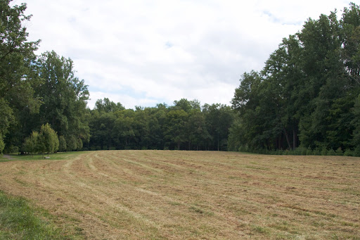 This is one of the hay fields at the farm. Dominic didn't bale the hay after cutting it because the weather was just too wet. We'll try again later in the season.
