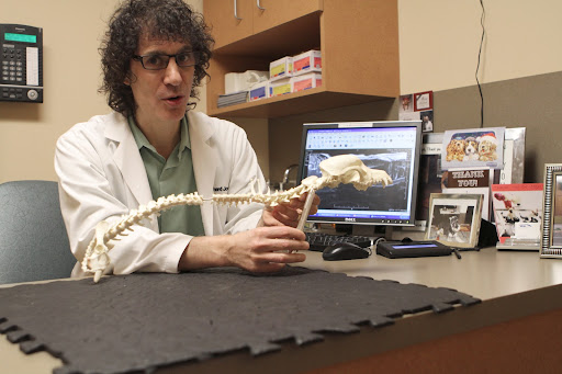 Dr. Joseph brought out the dog skeleton for a more tangible explanation.
