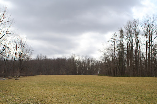 One of the hayfields