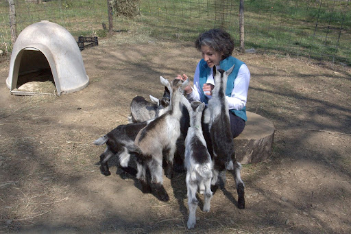 These bottle fed kids are so playful and so much fun.
