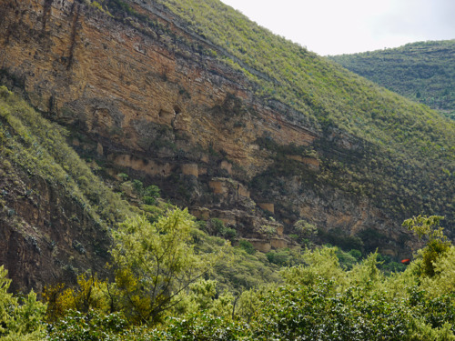 Up on the hillside, you can see cylinder shaped houses resting under the cliff.
