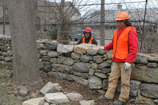 On a recent late winter day, a crew from Alfredo Landscape Inc. came to repair sections of the stone wall that encloses my farm along Girdle Ridge Road and Maple Avenue.