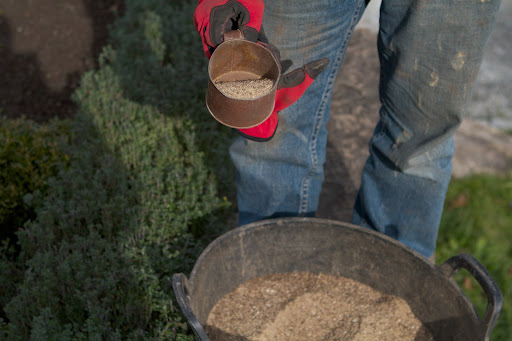 Because there are so many bulbs planted, Ryan applies the bone meal to the top of the bed after the bulbs are planted. He puts it in a bucket for easy scooping.