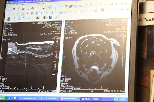 Again, a cross section reveals just how much trauma there is.