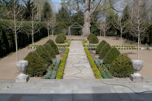 The boxwood enclosed garden behind the summer house is finally being planted. I had stone pathways installed last year and more boxwood and ginkgo trees planted.