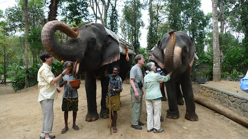 After our ride, we fed the elephants large chunks of squash and pumpkin. They were very gentle and seemed to enjoy their snack!