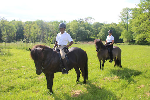 This is Michael Kooyman riding with Nikki Esdorn, who is known for her beautiful, diminutive Icelandic horses.