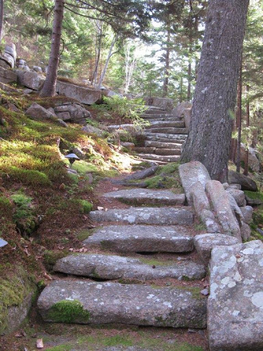 These stairs descend from the Main House, leading to the path that goes to the Guest House and Playhouse.