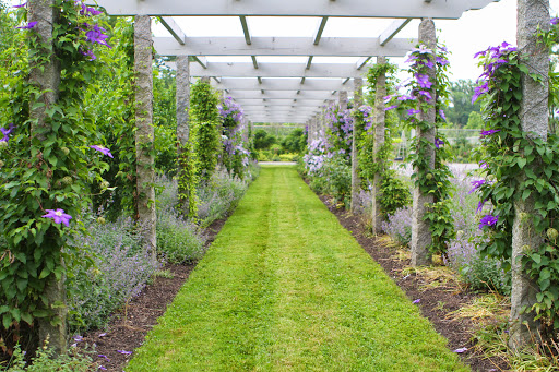 The uprights for this pergola are antique granite posts from China. They were used as grape supports in a valley that was going to be dammed and flooded to create a reservoir.