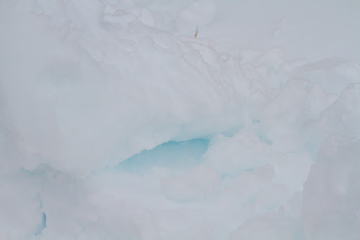 The latest snowfall at the farm appeared quite blue. This phenomenon occurs because light has different wavelengths that we perceive as colors. Blue light is the light that goes through ice crystals most readily. This is also why the sea and the sky look blue.