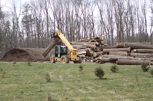 There are two distinct log piles at the compost yard.