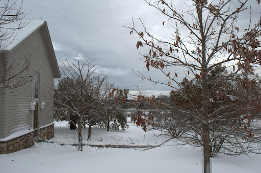 This is the entrance to the blog studio, which is located at the far end of the carport building.